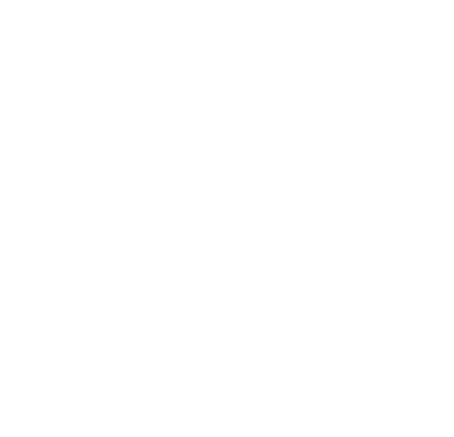 Oidhoiz